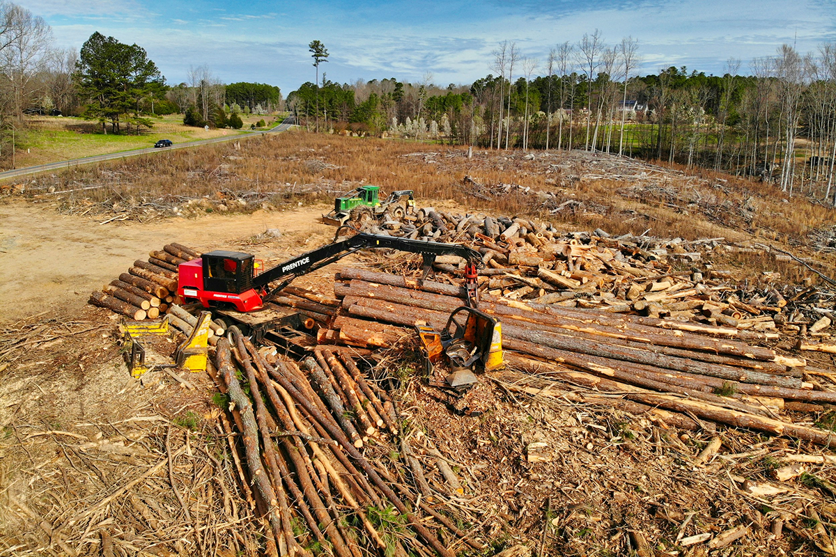 The Ultimate Guide to Land Clearing & Tree Removal | Black Stag ...